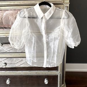 Missguided Sheer Organza Blouse